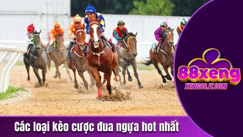 Các loại kèo cược đua ngựa hot nhất